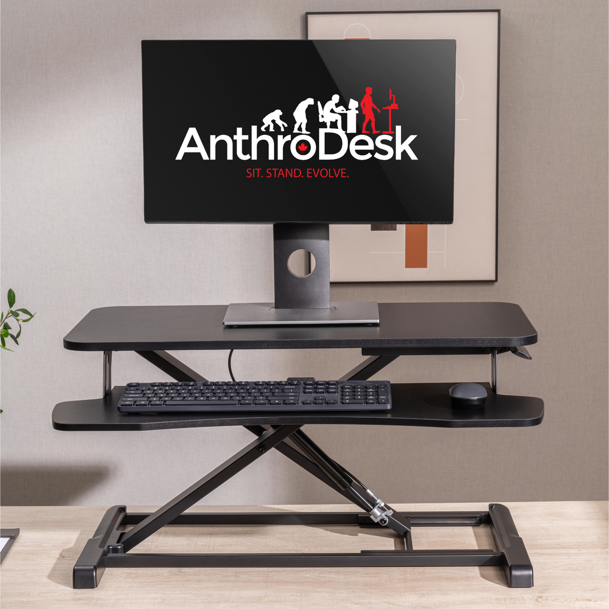 Anthrodesk sit stand deals