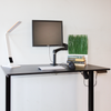 AnthroDesk Sit to Stand Height Adjustable Programmable Standing Desk Workstation with Table Top