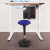 AnthroDesk Ergonomic Wobble Chair