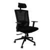 Ergonomic High-Back Office Chair